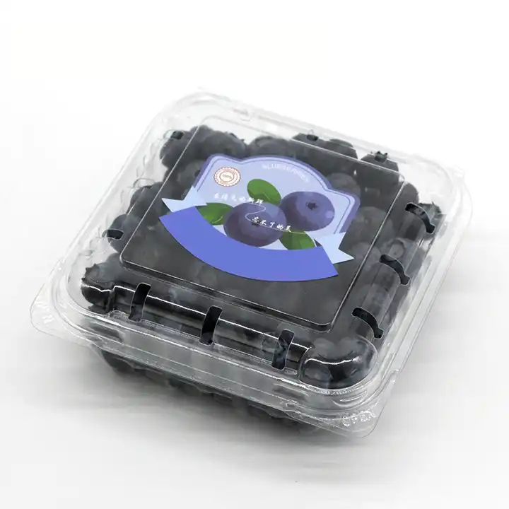 Fruit Plastic Packaging Box