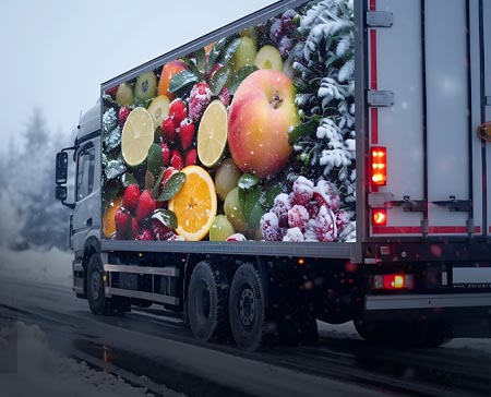 Insulated Packaging Solutions for Food & Cold Chain Logistics